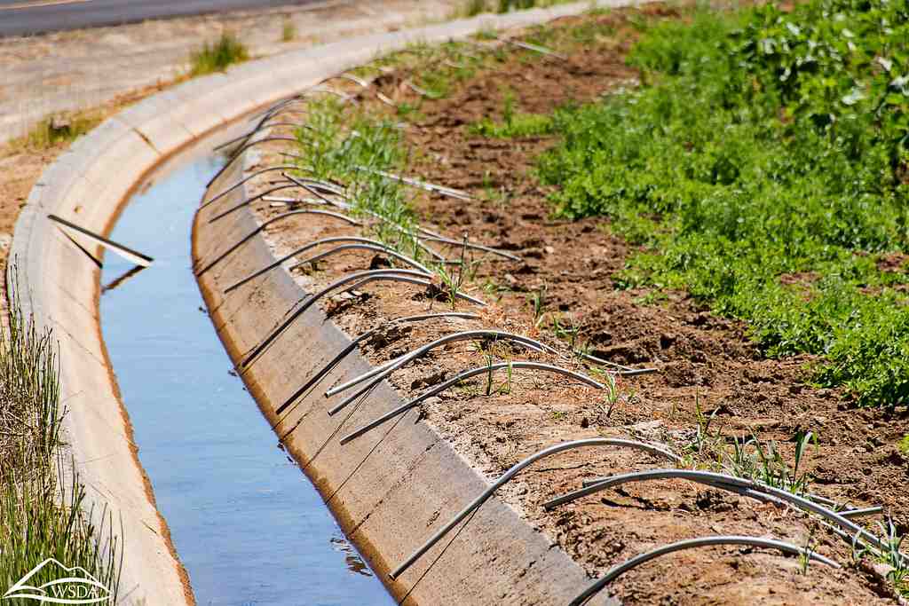 how to cut irrigation tubing